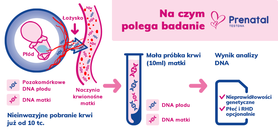 na czym polega prenatal testdna